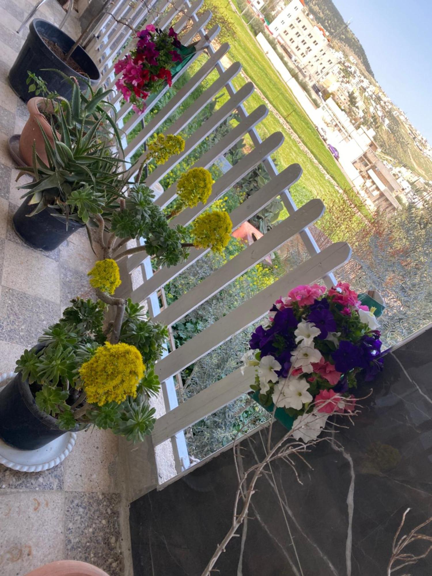Huseein Rooms Jarash Esterno foto